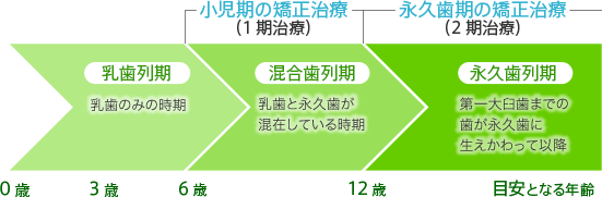 永久歯の矯正治療時期の目安の図